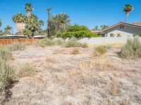 a view of a home on a vacant lot with the sky in the background, there are palm trees and some bushes on the ground