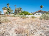 a view of a home on a vacant lot with the sky in the background, there are palm trees and some bushes on the ground