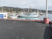 Residential Area with Pier and Harbor Landing in San Francisco, California, USA