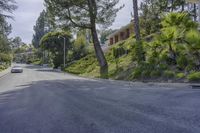 a paved road leading through some trees in a forested area near houses and street lamps