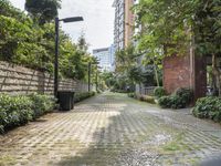 Residential Area in Shenzhen, China