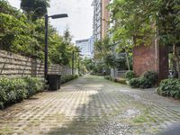 Residential Area in Shenzhen, China