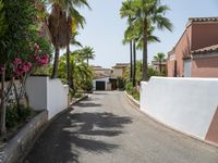 palm trees line the walkway down a street past a white wall and house with a red car parked on it