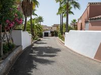 palm trees line the walkway down a street past a white wall and house with a red car parked on it