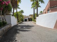 palm trees line the walkway down a street past a white wall and house with a red car parked on it