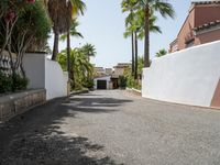 palm trees line the walkway down a street past a white wall and house with a red car parked on it