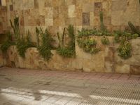 a concrete wall is lined with plants and trees on the side of it and in front of the fence