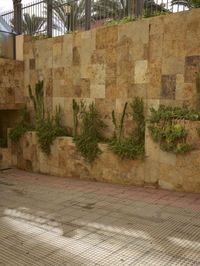 a concrete wall is lined with plants and trees on the side of it and in front of the fence