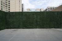 Residential Area Straight Road Urban Landscape