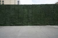 Residential Area Straight Road Urban Landscape 003