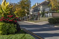 A Suburban Garden in Toronto's Residential Area