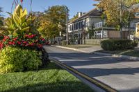 A Suburban Garden in Toronto's Residential Area