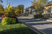 A Suburban Garden in Toronto's Residential Area