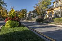 A Suburban Garden in Toronto's Residential Area