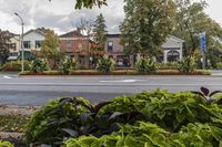 Residential Area: Suburban Neighborhood in Ontario