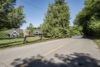 Residential Area in a Suburban Neighborhood: Lined with Trees and Grass