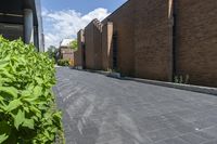 Residential Area in Toronto: Brick House and Green Grass