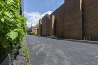 Residential Area in Toronto: Brick House and Green Grass