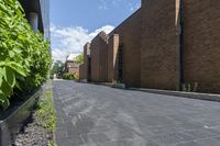 Residential Area in Toronto: Brick House and Green Grass