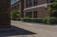 Residential Area in Toronto: Beautiful Brickwork Homes