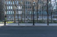 Residential Area in Toronto: Building with Tree