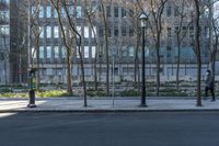 Residential Area in Toronto: Building with Tree