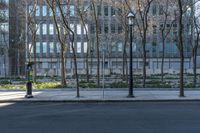 Residential Area in Toronto: Building with Tree