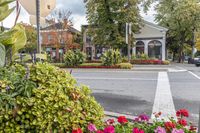 a building on a city street surrounded by flowers and trees of all shades and reds, with cars driving past