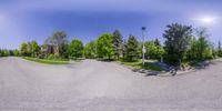 the street has been changed from asphalt to trees and bushes, as seen in this image