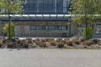 Residential Area in Toronto: A Mix of Grass and Trees