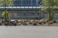 Residential Area in Toronto: A Mix of Grass and Trees