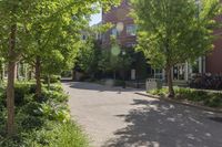 Residential Area in Toronto: Green Grass and Tall Trees