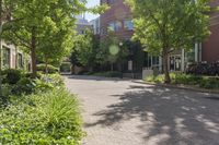 Residential Area in Toronto: Green Grass and Tall Trees