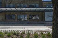 Residential Area in Toronto Neighborhood