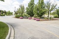 Residential Area in Toronto on a Spring Day