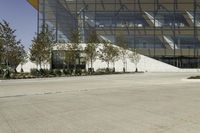 Residential Area in Toronto: Tree Shadow