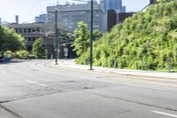 Residential Area Toronto with Yellow Trees 001