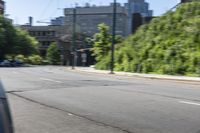 Residential Area in Toronto with Yellow Trees