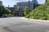 Residential Area in Toronto with Yellow Trees