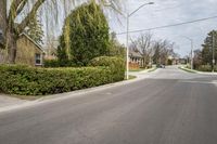 the street is paved with black asphalt and trimmed bushes at both sides of the road