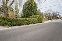 the street is paved with black asphalt and trimmed bushes at both sides of the road