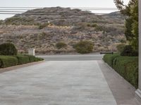 Residential Area with Tree-lined Road 002