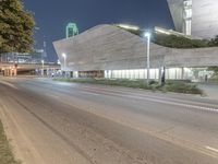 Residential Area: Tree-Lined Road at Night