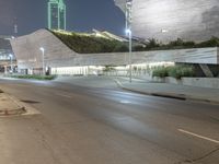 Residential Area: Tree-Lined Road at Night