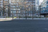 Residential Area with Tree-Lined Streets in Toronto