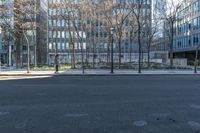 Residential Area with Tree-Lined Streets in Toronto