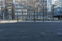 Residential Area with Tree-Lined Streets in Toronto