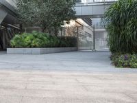 an empty space has a tall planter full of green plants on the ground and a bench with blue benches