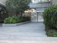 an empty space has a tall planter full of green plants on the ground and a bench with blue benches