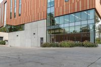 a big glass office building with a tree in front of it on the side of a cement sidewalk